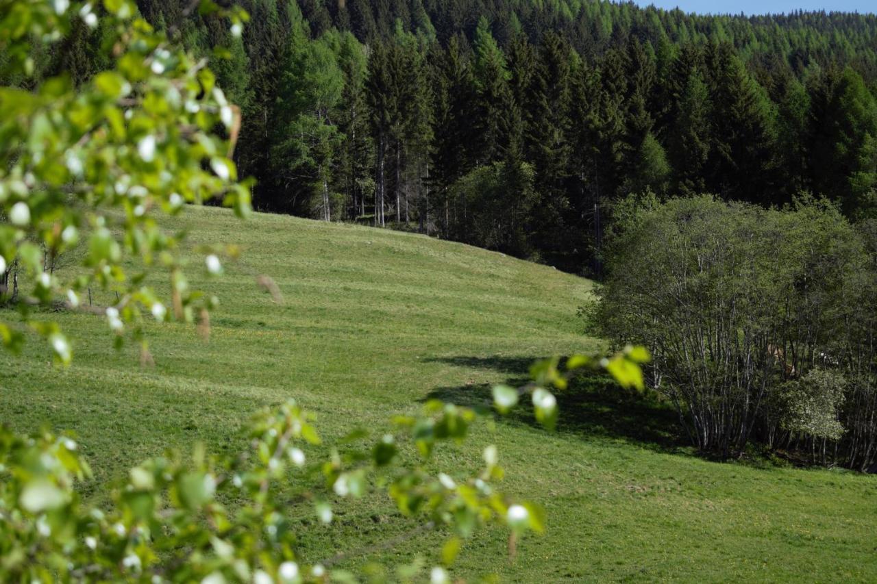 Landhaus Holzer ซังก์ท มาร์กาเรเธน เอม ลุงเงา ภายนอก รูปภาพ